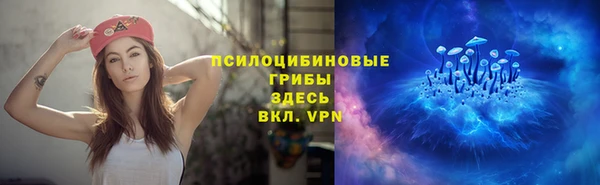 дживик Сафоново