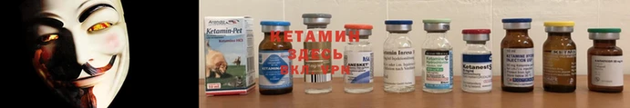 таблы Бородино